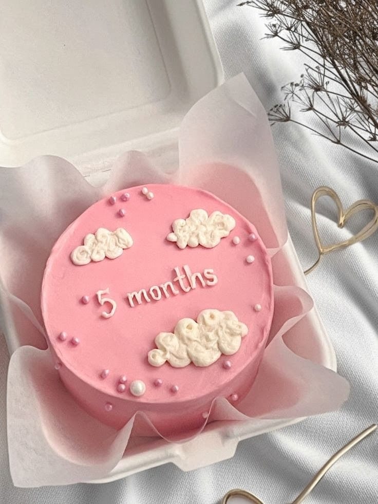 5 Months Happiness Bento Cake