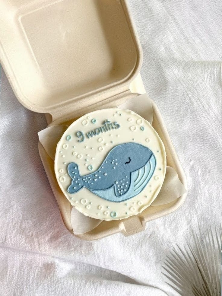 9 Month Baby Milestone Mini Cake