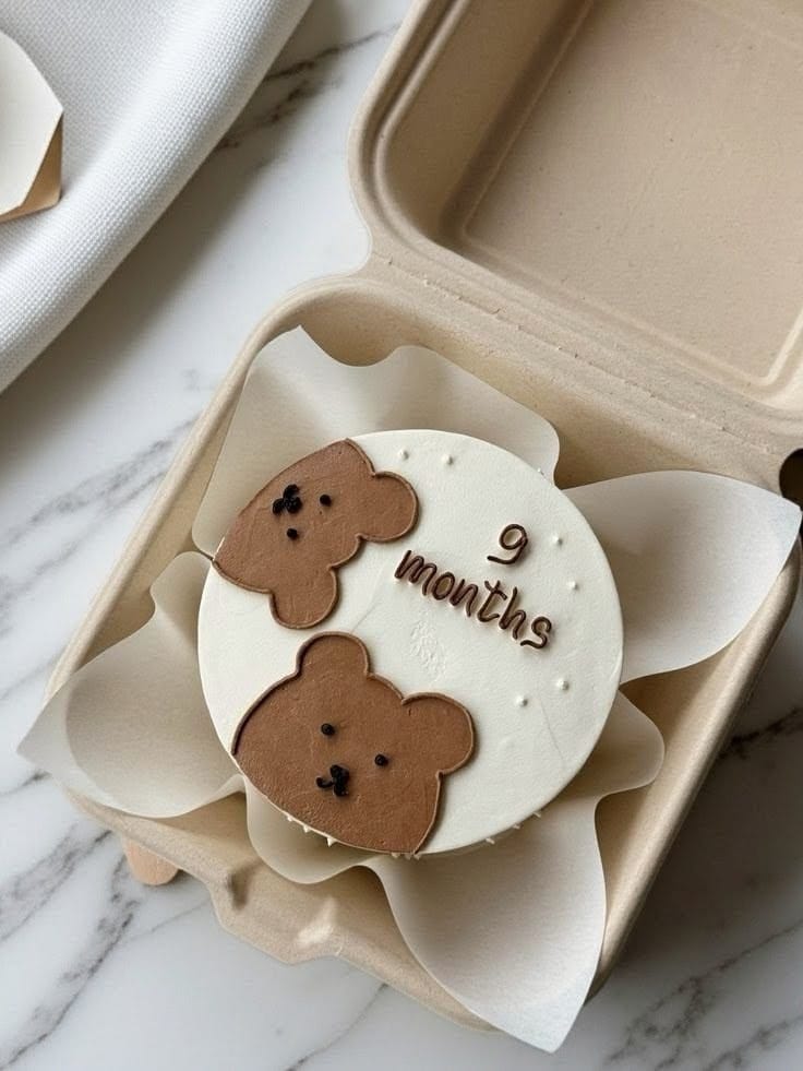 9 Month Cute Theme Bento Cake