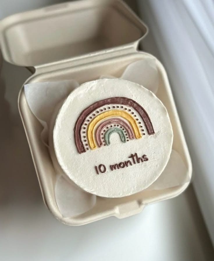 10 Month Cute Theme Bento Cake
