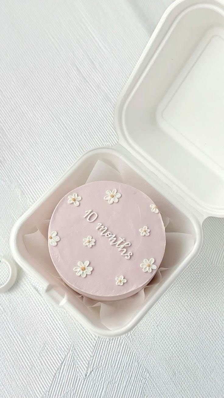 Mini Bento Cake for 10 Month Baby