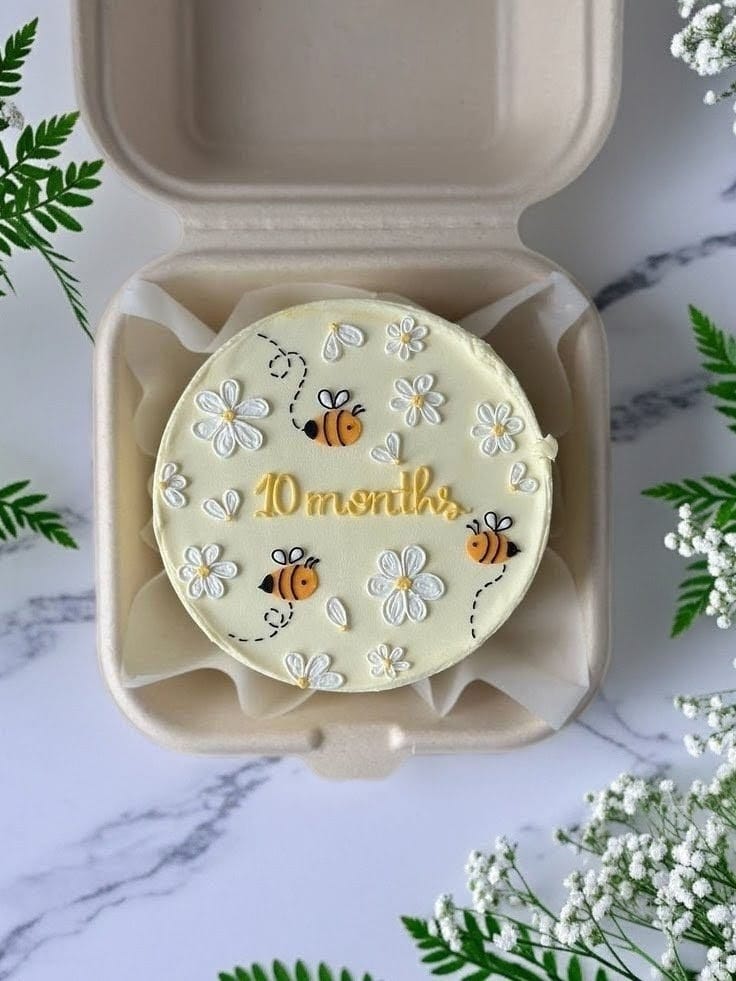 10 Month Milestone Bento Cake for Baby