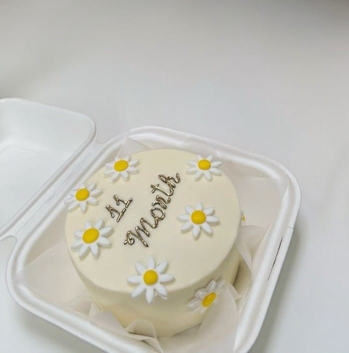 11 Month Pre-Birthday Bento Cake