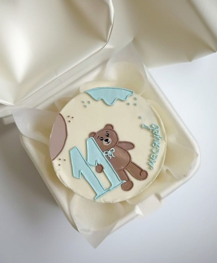 Custom 11 Months Bento Cake with Teddy