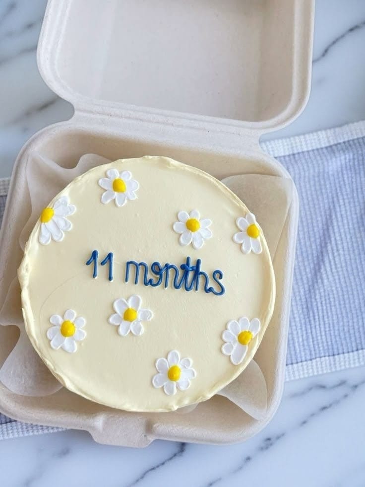 Mini Bento Cake for 11 Month Baby