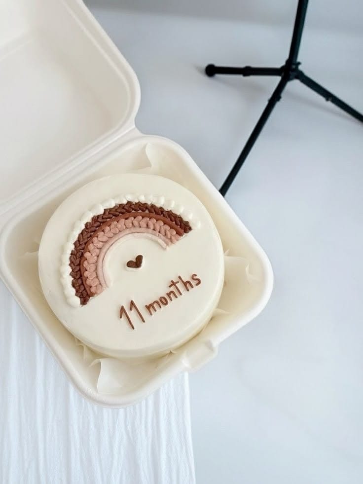 11 Month Milestone Bento Cake for Baby