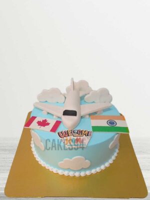 Canada To India Theme Cake