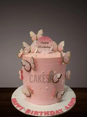 Butterfly Theme Cake Design 5