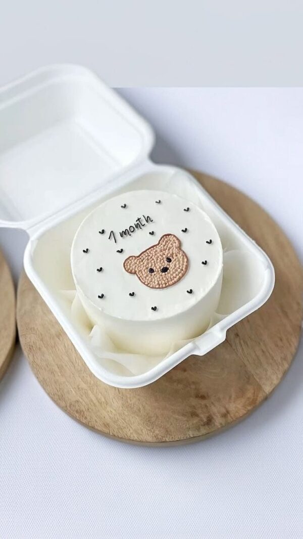 Tiny Treats: 1st Month Birthday Lunchbox Cake