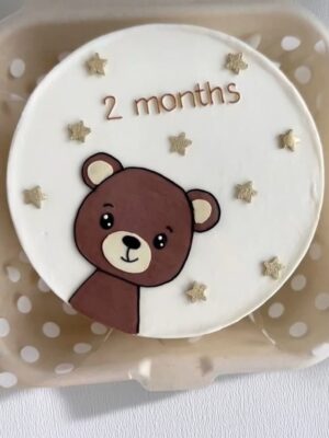 Little Moments: 2 Month Bento Cake
