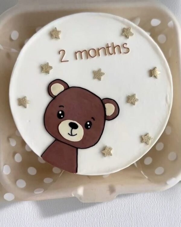 Little Moments: 2 Month Bento Cake