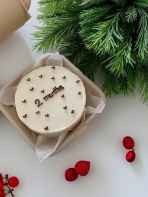 Adorable 2 Months Bento Cake Surprise