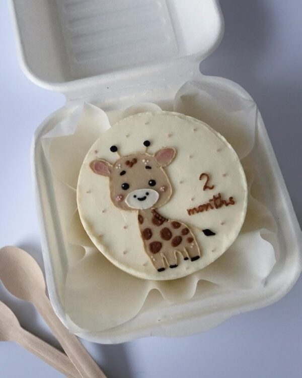 Two Months of Love Bento Cake